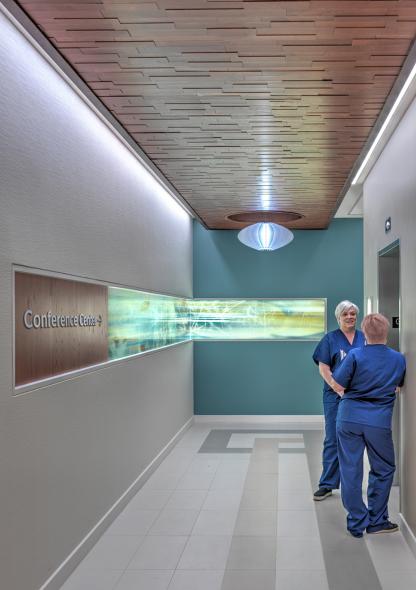Palos Health
