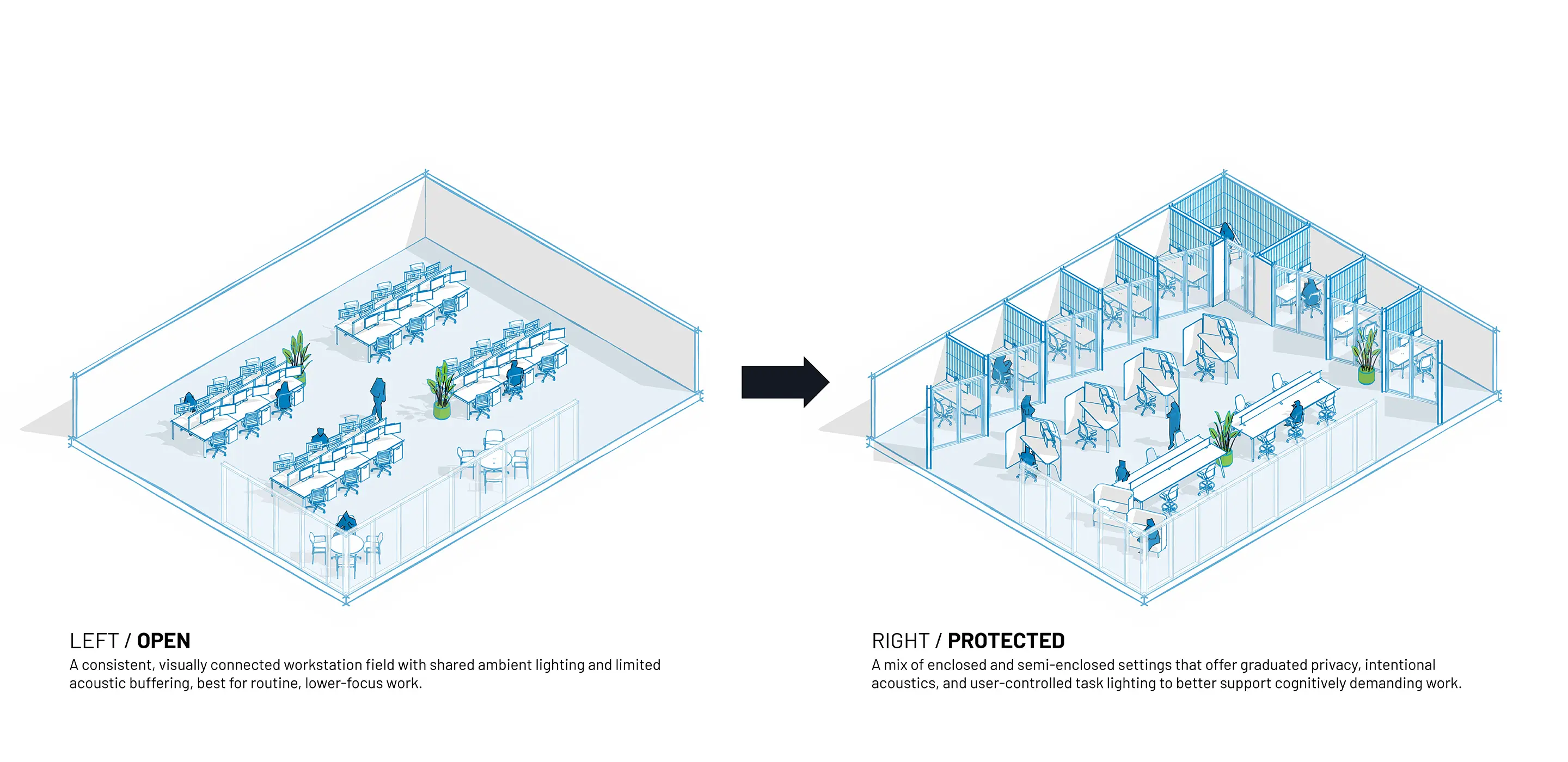 Comparison of open-plan and protected office layouts, highlighting workspace configuration and acoustic features.
