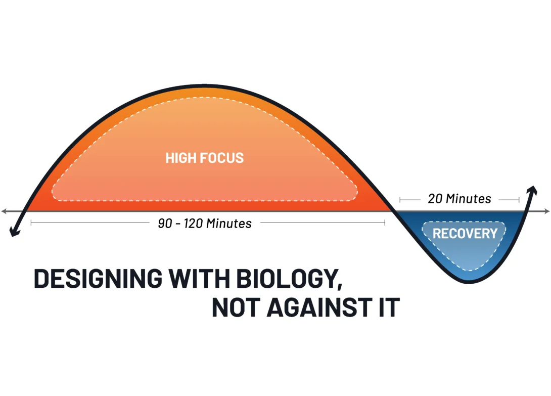 Graph showing high focus for 90-120 mins followed by 20 mins of recovery, emphasizing biology-aligned productivity.