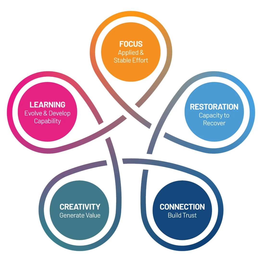 Infographic of five elements: Focus, Restoration, Connection, Creativity, and Learning in a circular design.