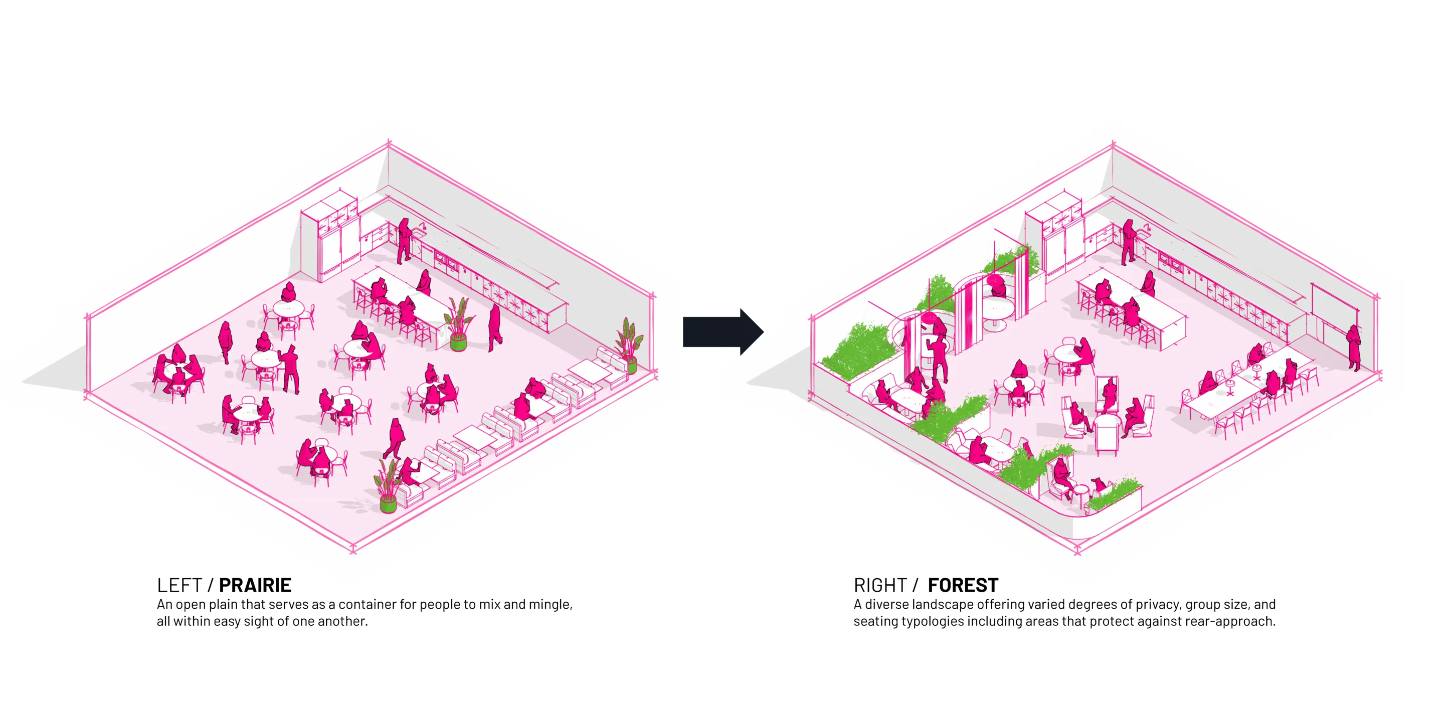 Comparison of open-plan prairie layout vs diverse forest layout for workplace privacy and collaboration.