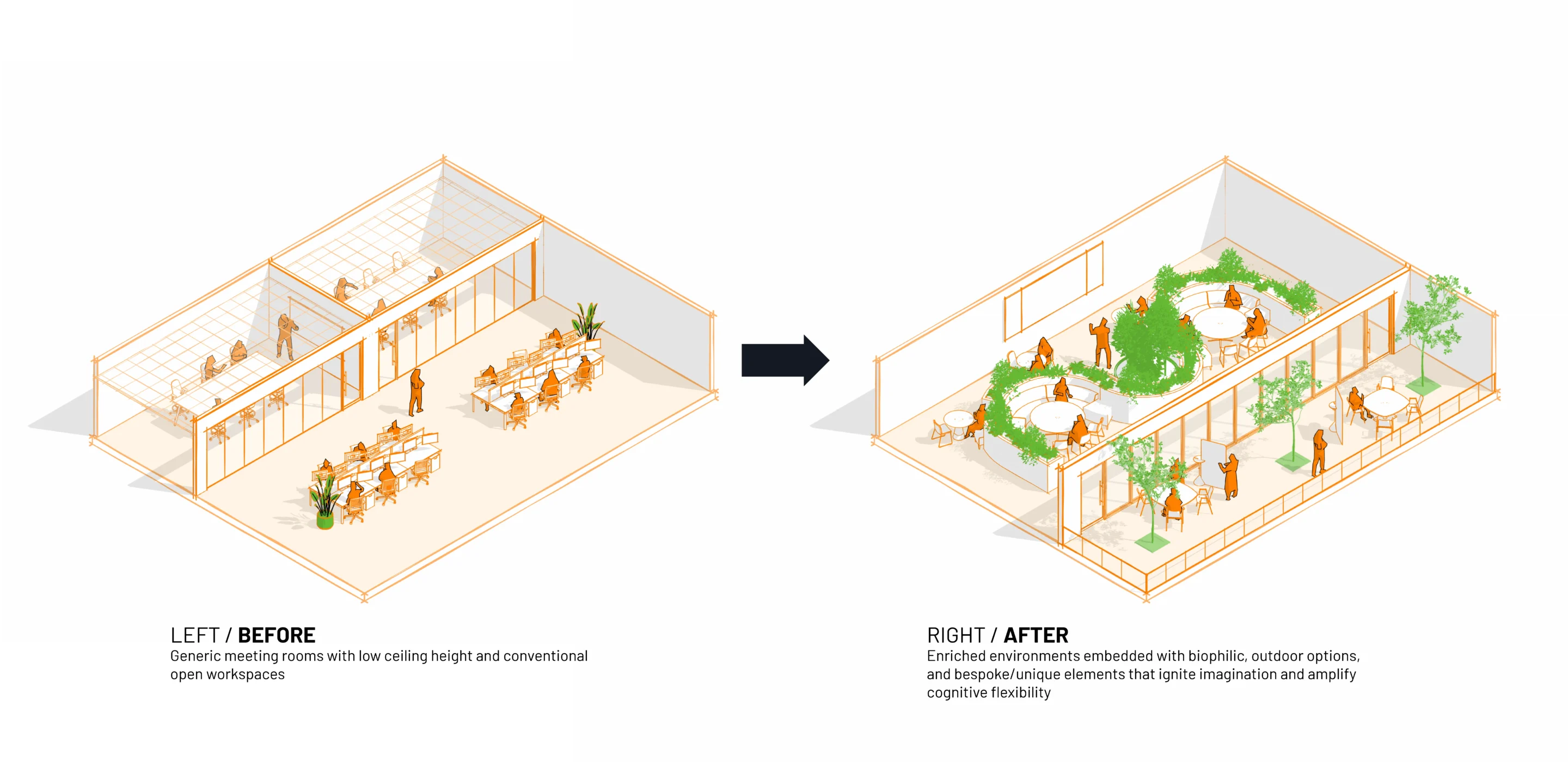 Office transformation: from basic cubicles to open, biophilic space with greenery and flexible seating areas.